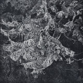Strážce, čárový lept, 2014 (50 x 50 cm)