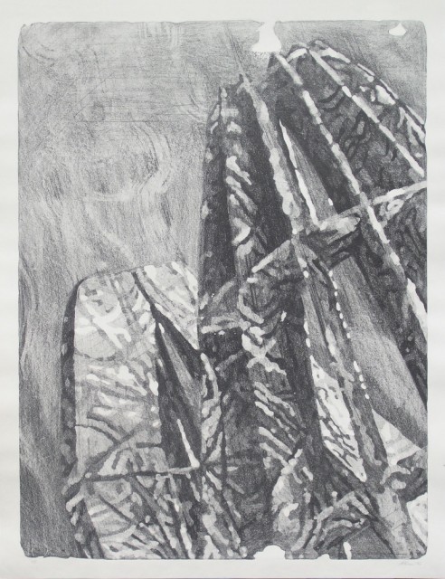 ANTARES, kamenotisk ,90 x 120 cm, 2014