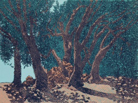 Olivový strom,barevný linoryt, 47x63,5,2014