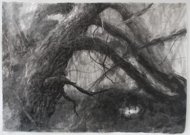 Pavel Trnka, Vrba, tuš na japonském papíře, 150 x 200 cm, 2022