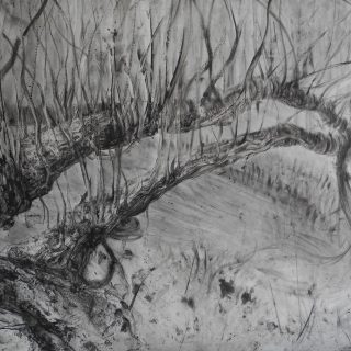 Pavel Trnka, Vrby, uhel na papíře, 150 x 250 cm, 2021