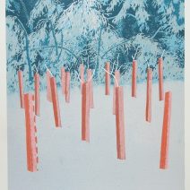 Miloš Sláma / Mladé stromky v zimě; linoryt; 38x48cm; 2013; 4500,-kč