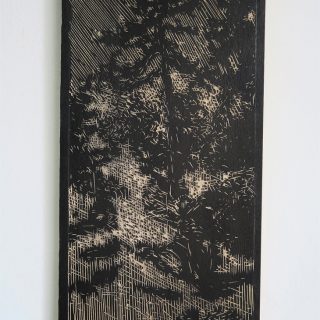 Borovice. 2016, rytá dřevěná deska, březové dřevo, tuš, 18 x 35 cm
