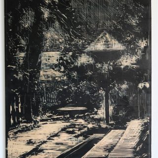 Holubník, 2016, rytá deska, březové dřevo, tuš,  61 x 51 cm