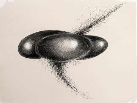 Xénia Hoffmeisterová - Nové druhy I,2018,litografie,80x60cm d
