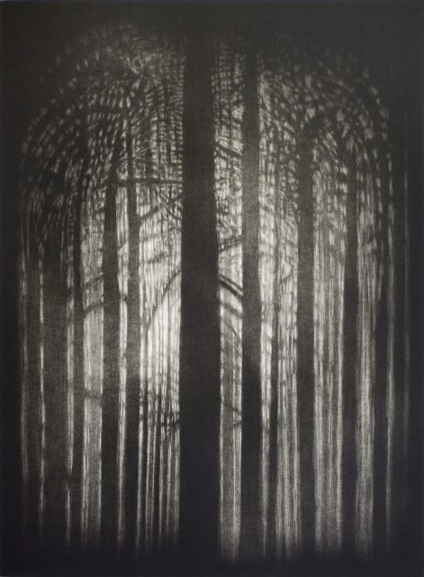 Chrám lesa III, 2008, škrábaná akvatinta, papír, 67x50cm
