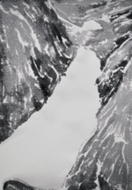 Jezero, sítotisk, 2015, 100 x 70 cm