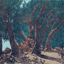 Olivový strom,barevný linoryt, 47x63,5,2014
